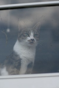 IMG_0027