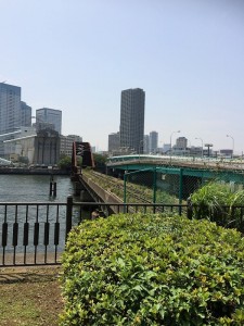 【廃線鉄道橋】春海橋 入り口付近は植え込みにしてしまっていますし、実は撮影しているこの背中はマンションだったりします