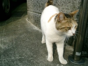 mao0010