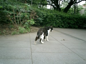 mao032
