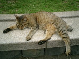 mao057