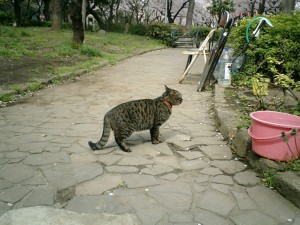 mao071