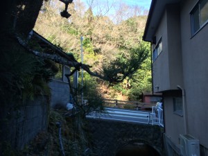 IMG_1300
