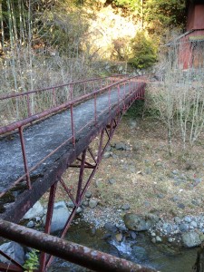 IMG_1310
