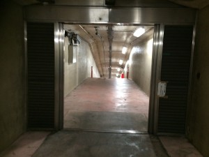 IMG_1389
