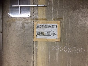 IMG_1395