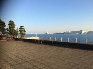 IMG_1412